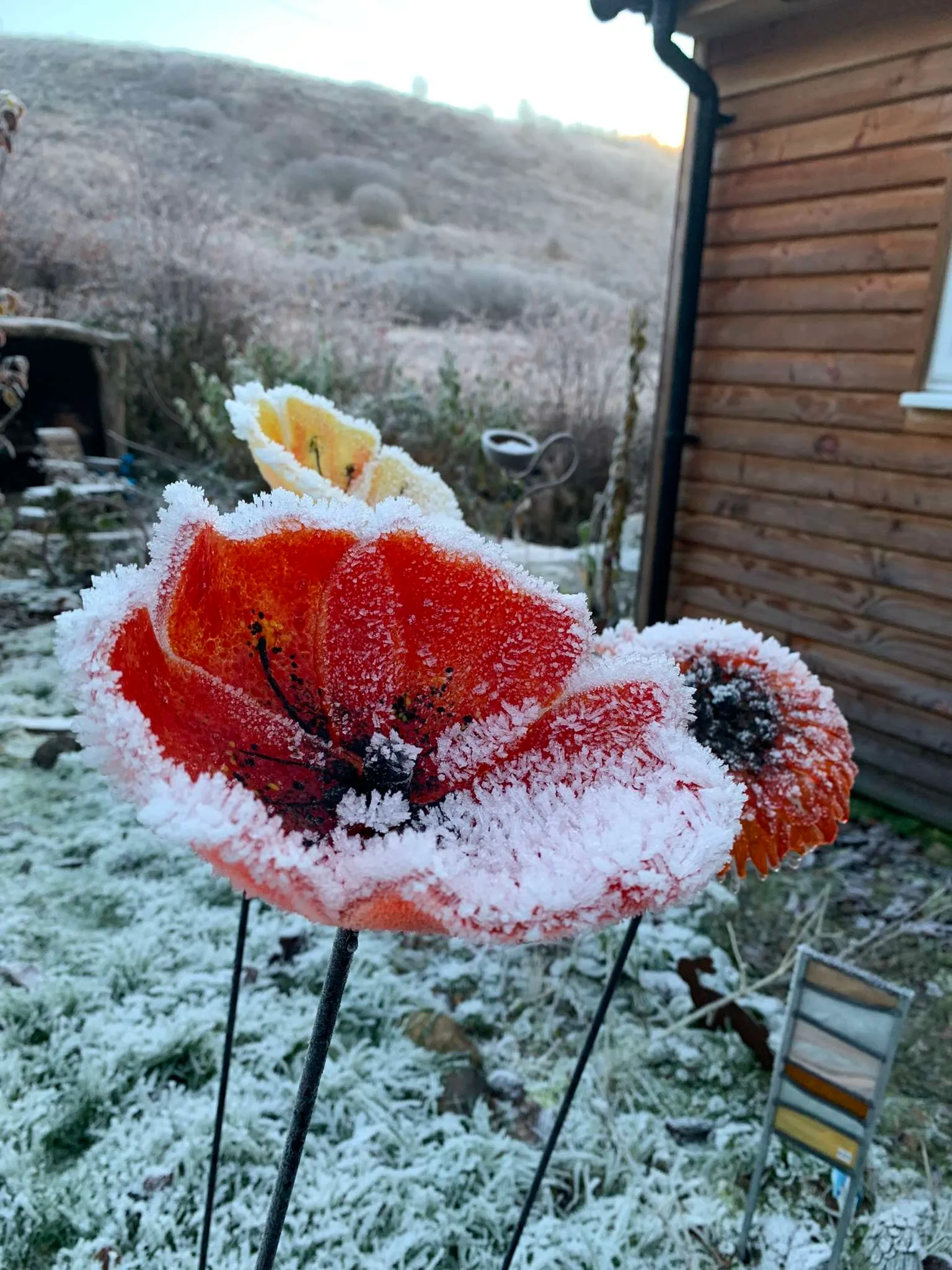 Red poppy garden flower stake - Image 6