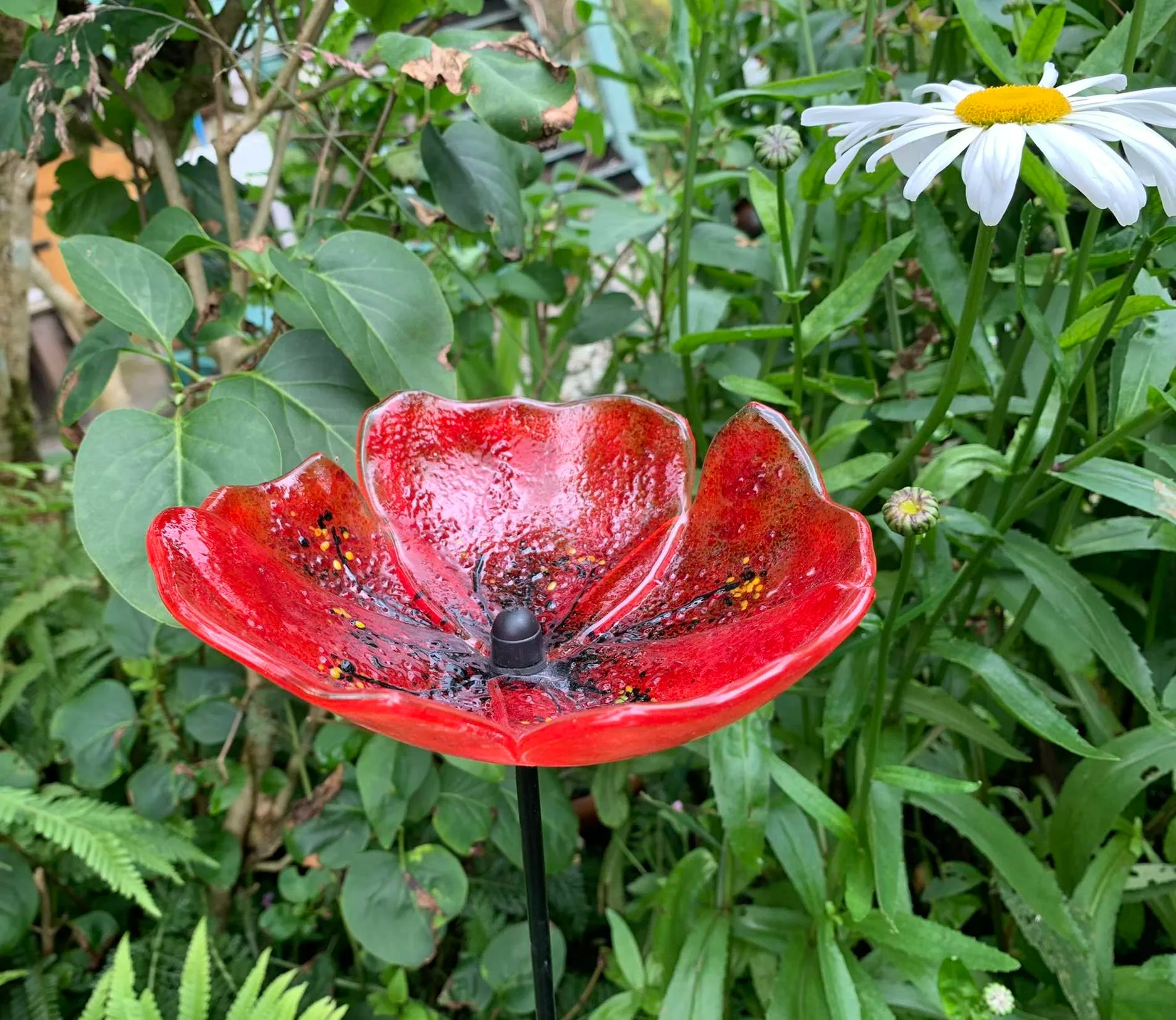 Red poppy garden flower stake