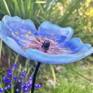 Blue Himalayan  poppy garden stake, sculpture fused glass